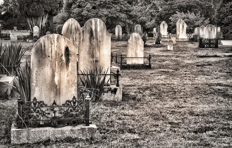 Final DestinationPhotography by Sharon Alston